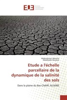 Abderrahme Akkacha, Abderrahmen Akkacha, Collectif, Abdelkader Douaoui - Etude a l echelle parcellaire de