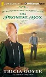 Tricia Goyer, Kathy Garver, Kathy Garver - The Promise Box (Audio book)