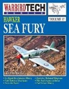 Kev Darling - Hawker Sea Fury