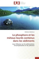 Abdelaziz Abdallaoui, Abdallaoui-A - Le phosphore et les metaux lourds