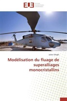 Julien Ghighi, Ghighi-J - Modelisation du fluage de