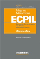 Ulrich Magnus, Peter Mankowski - Brussels Ibis Regulation