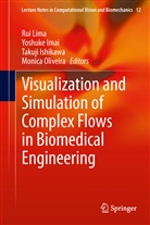 Yohsuk Imai, Yohsuke Imai, Yoshuke Imai, Takuji Ishikawa, Takuji Ishikawa et al, Rui Lima... - Visualization and Simulation of Complex Flows in Biomedical Engineering