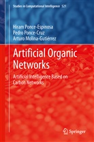 Mister Hiram, Ar Molina, Arturo Molina, Arturo Molina Gutierrez, Arturo Molina-Gutiérrez, Hiram Eredín Ponce Espinosa... - Artificial Organic Networks