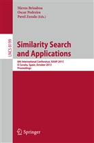Nieves Brisaboa, Osca Pedreira, Oscar Pedreira, Pavel Zezula - Similarity Search and Applications