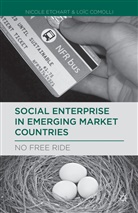 L Comolli, L. Comolli, Loeic Comolli, Loic Comolli, Etchart, N Etchart... - Social Enterprise in Emerging Market Countries