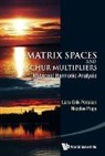 Lars-Erik Persson &amp; Nicolae Popa, Lars-Erik Persson, Nicolae Popa - MATRIX SPACES & SCHUR MULTIPLIERS