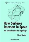 J Scott Carter, J. Scott Carter, J Scott Carter - HOW SURFACES INTERSECT IN...(2ND ED)(V2)
