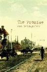 Ann Weisgarber - The Promise