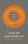 David Grossman - Falling out of Time