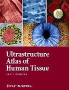 F Hossler, Fred Hossler, Fred E. Hossler, Hossler Fred - Ultrastructure Atlas of Human Tissues