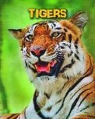 Anna Claybourne - Tigers