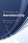 Holt Ashley, Raymond L. Bisplinghoff, Raymond L. Ashley Bisplinghoff, Bisplinghoff Raymond, Bisplinghoff Ashley Raymond - Principles of Aeroelasticity