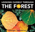 Serafini, Frank Serafini, Serafini, Frank Serafini - Looking Closely Through the Forest
