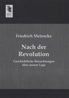 Friedrich Meinecke - Nach der Revolution