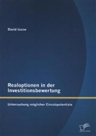 David Iusow - Realoptionen in der Investitionsbewertung: Untersuchung möglicher Einsatzpotentiale