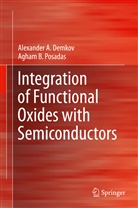 Alexander Demkov, Alexander A Demkov, Alexander A. Demkov, Agham B Posadas, Agham B. Posadas - Integration of Functional Oxides with Semiconductors