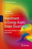 L Abadie, L M Abadie, L. M. Abadie, L.M. Abadie, Luis M. Abadie, Luis Ma Abadie... - Investment in Energy Assets Under Uncertainty
