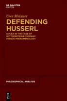 Uwe Meixner - Defending Husserl