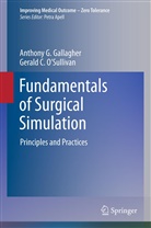 Anthony Gallagher, Anthony G Gallagher, Anthony G. Gallagher, Gerald C O'Sullivan, Gerald C. O'Sullivan - Fundamentals of Surgical Simulation