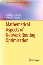 Carlos A Oliveira, Carlos A S Oliveira, Carlos A. S. Oliveira, Carlos A.S. Oliveira, Panos M Pardalos, Panos M. Pardalos - Mathematical Aspects of Network Routing Optimization