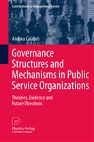 Andrea Calabrò - Governance Structures and Mechanisms in Public Service Organizations