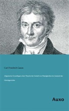 Carl Friedrich Gauss - Allgemeine Grundlagen einer Theorie der Gestalt von Flüssigkeiten im Zustand des Gleichgewichts