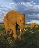 G. Miller, G. (President Miller, G. Tyler Miller, Scott Spoolman, Scott (President Spoolman, Scott E. Spoolman... - Sustaining the Earth