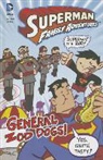 Franco Aureliani, Art Baltazar - Superman Family Adventures
