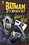 Christopher Jones, Bill Matheny - Batman Strikes!