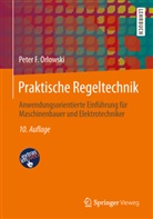 Peter F Orlowski, Peter F. Orlowski - Praktische Regeltechnik