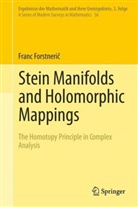 Franc Forstneri, Franc Forstneric - Stein Manifolds and Holomorphic Mappings