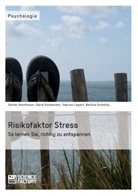 Stefan Dannheiser, Davi Distelmann, David Distelmann, Bett Einhellig, Bettin Einhellig, Bettina Einhellig... - Risikofaktor Stress