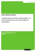 Javier Martínez Gómez - Comportamiento frente al Postcurado y al Envejecimiento de una Unión Adhesiva Anaeróbica