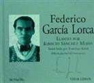 Federico García Lorca - Llanto por Ignacio Sánchez Mejías