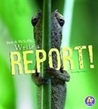 Kristen Mccurry - Pick a Picture, Write a Report!