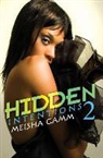 Meisha Camm, Meisha J. Camm - Hidden Intentions 2