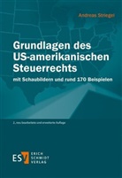 Thomas A. Jesch, Andreas Striegel, Andreas (Dr.) Striegel - Grundlagen des US-amerikanischen Steuerrechts