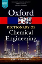 Carl Schaschke, Carl (Head of Department Schaschke - Dictionary of Chemical Engineering