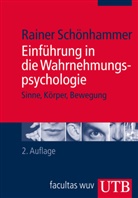Rainer Schönhammer, Rainer (Prof. Dr.) Schönhammer - Einführung in die Wahrnehmungspsychologie