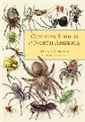 Richard A Bradley, Richard A. Bradley, Richard Alan Bradley, Bradley Richard A., Steve Buchanan - Common Spiders of North America