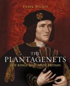 Derek Wilson - The Plantagenets