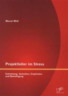 Marcel Mild - Projektleiter im Stress: Entstehung, Verhalten, Empfinden und Bewältigung