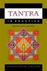 David White, David Gordon White, David Gordon White, White David Gordon - Tantra in Practice