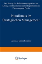 Andreas G. Scherer, Andreas Georg Scherer - Pluralismus im Strategischen Management