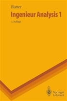 Christian Blatter - Ingenieur-Analysis - Bd.1: Ingenieur Analysis 1. Bd.1