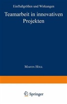 Martin Högl - Teamarbeit in innovativen Projekten