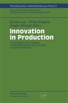 Gunter Lay, Phili Shapira, Philip Shapira, Jürgen Wengel - Innovation in Production