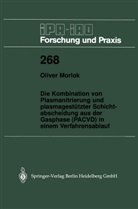 Oliver Morlok - Die Kombination von Plasmanitrierung und plasmagestützter Schichtabscheidung aus der Gasphase (PACVD) in einem Verfahrensablauf