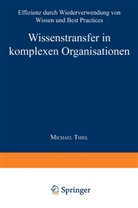 Michael Thiel - Wissenstransfer in komplexen Organisationen